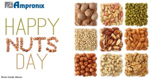Nut_day